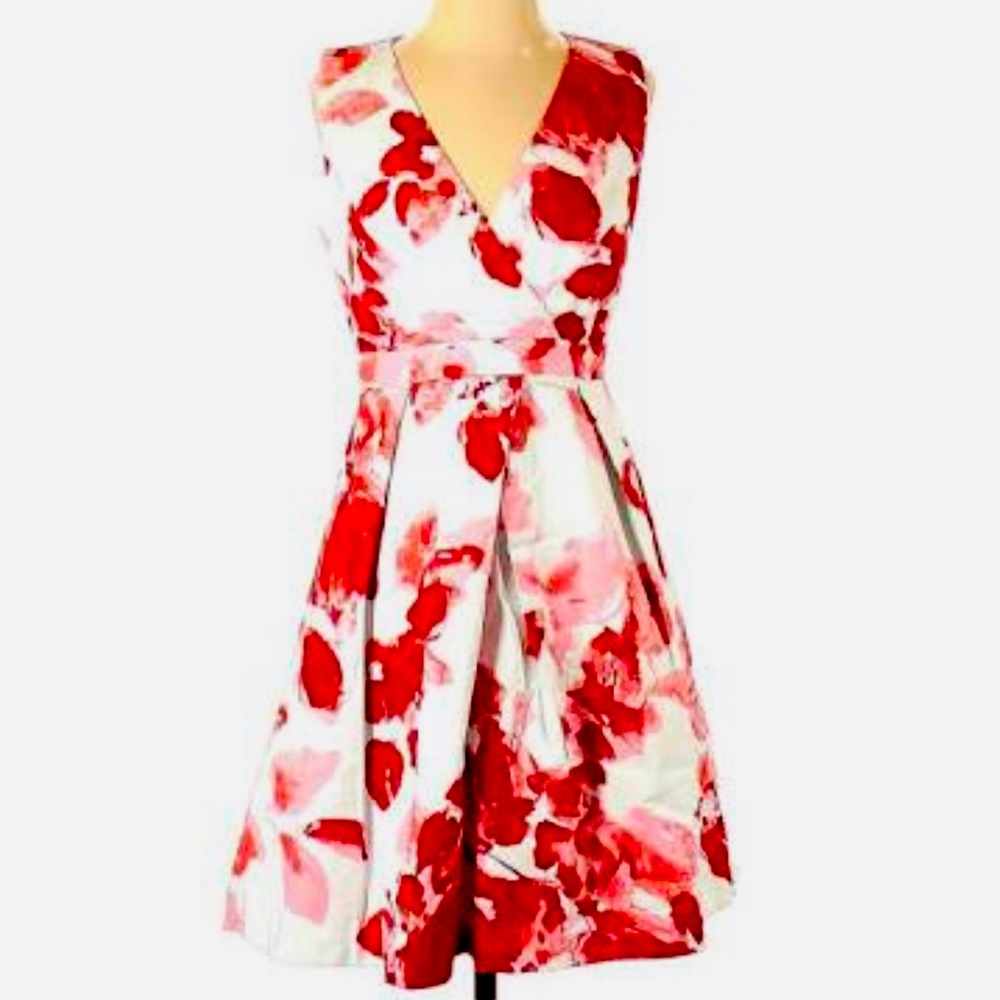 Ellen Tracy Dress